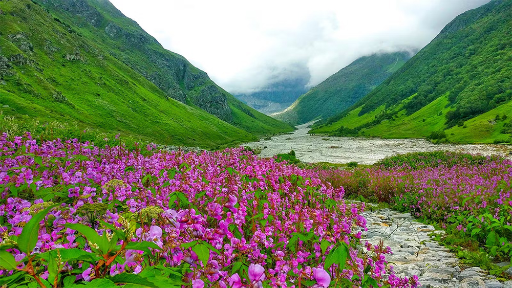 Valley of Flowers National Park - Uttarakhand