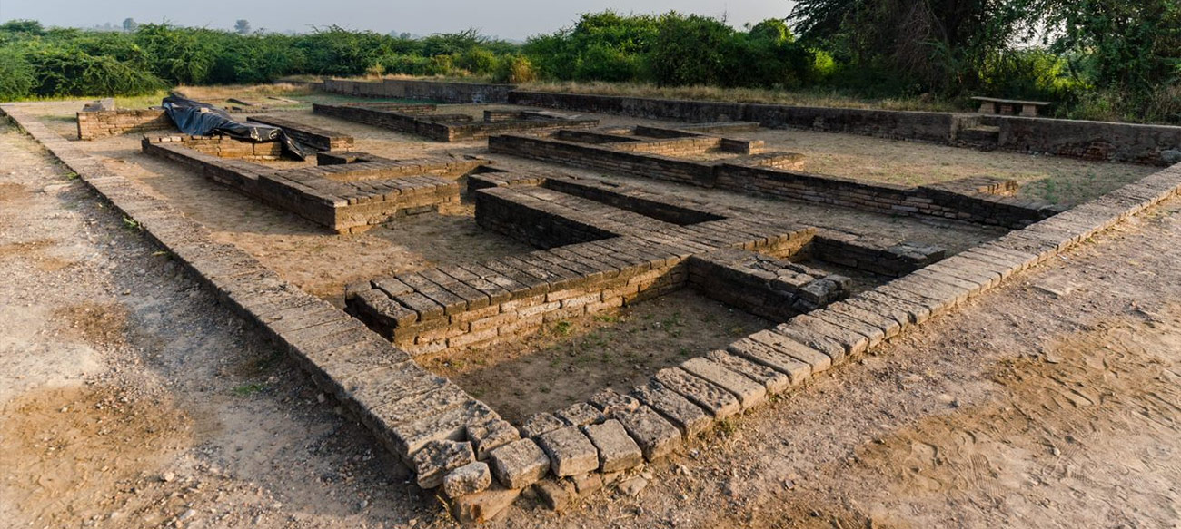 Dholavira: A Harappan City (2021)