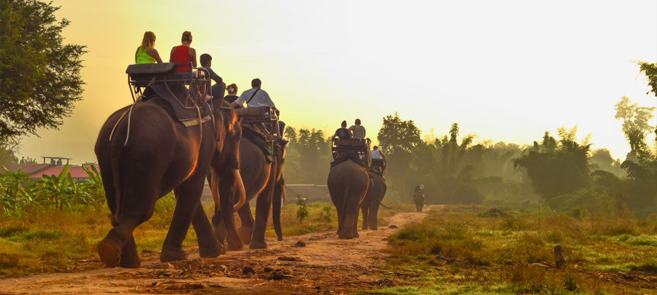 Kaziranga National Park, Assam (designated in 1985)