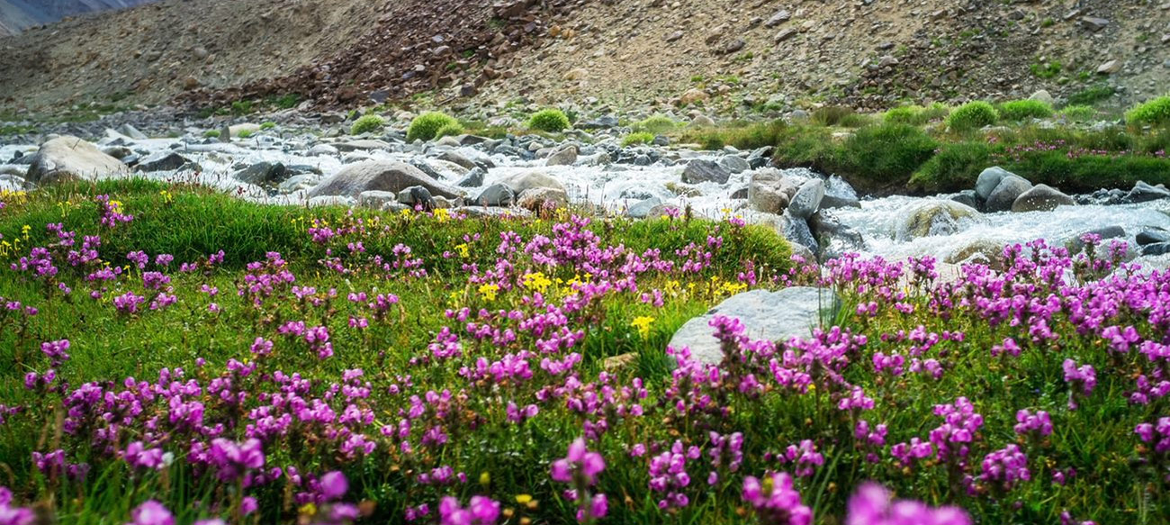 Nanda Devi National Park (designated in 1988)