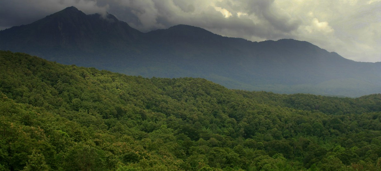 Western Ghats (designated in 2012)