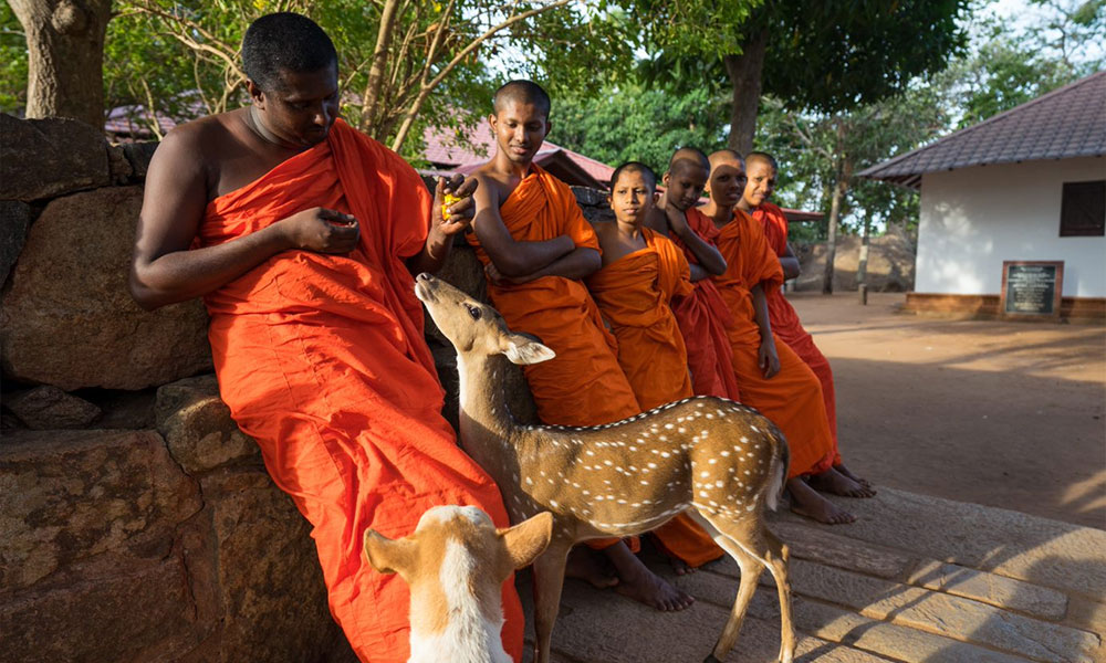 Cultural Triangle of Sri Lanka!