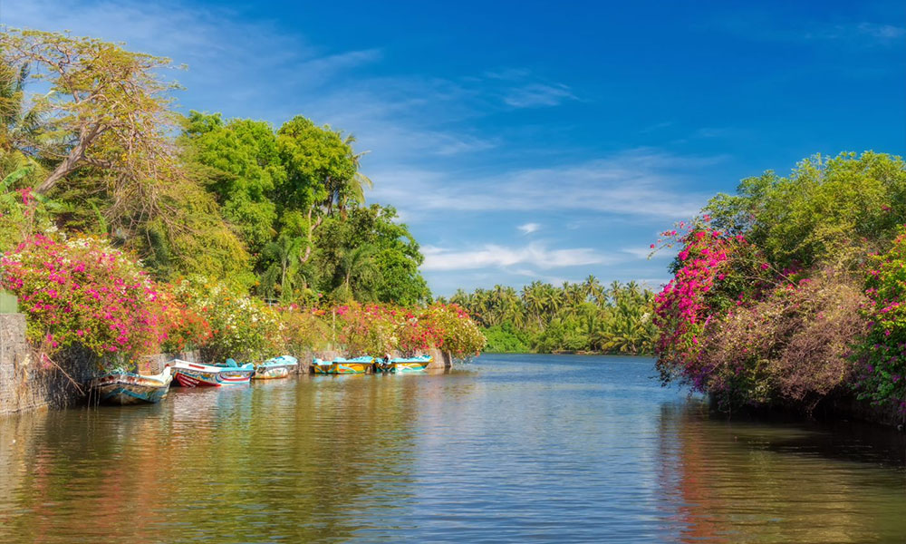 Discover the island on a Motorbike!