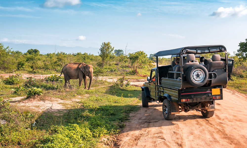 National Parks of Sri Lanka