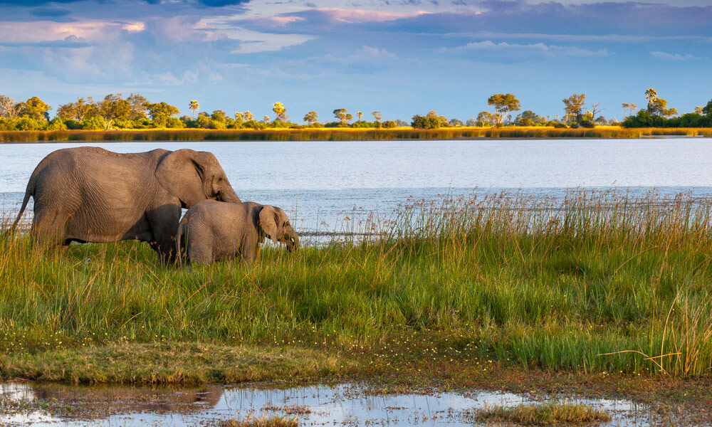 Okavango Delta