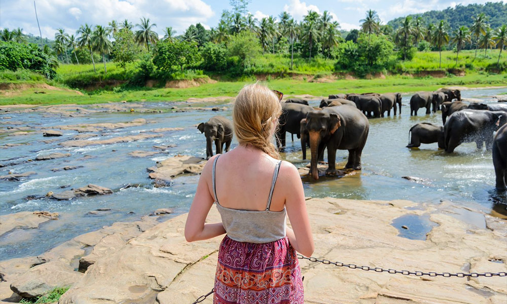 Pinnawala Elephant Orphanage