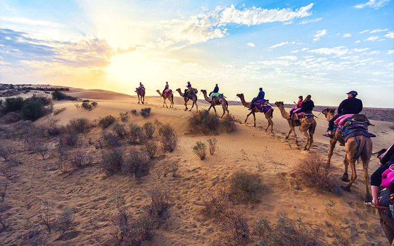 The Enchanting Camel Safari Tours of India
