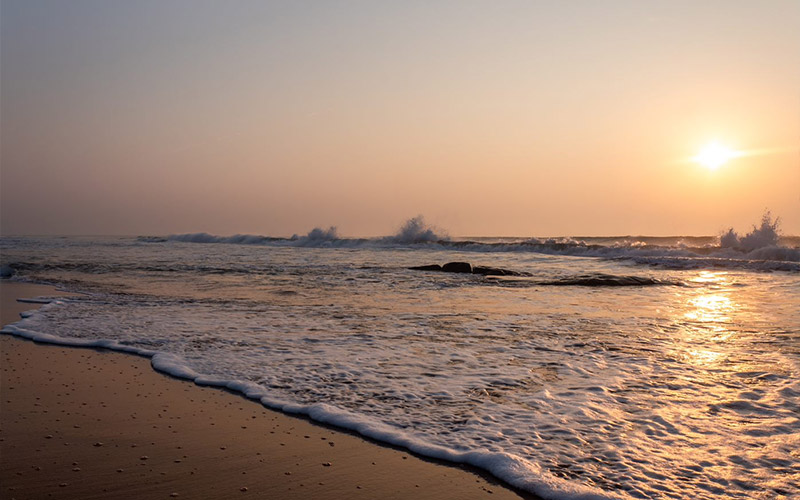 The Golden Beaches of India